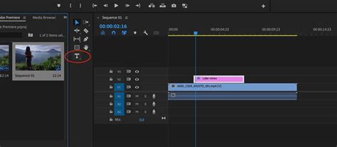 Premiere Pro How to Add Text: A Journey Through the Digital Canvas