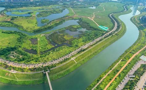  陽湖湿地！広大な水辺と珍しい鳥たちを満喫する旅へ！